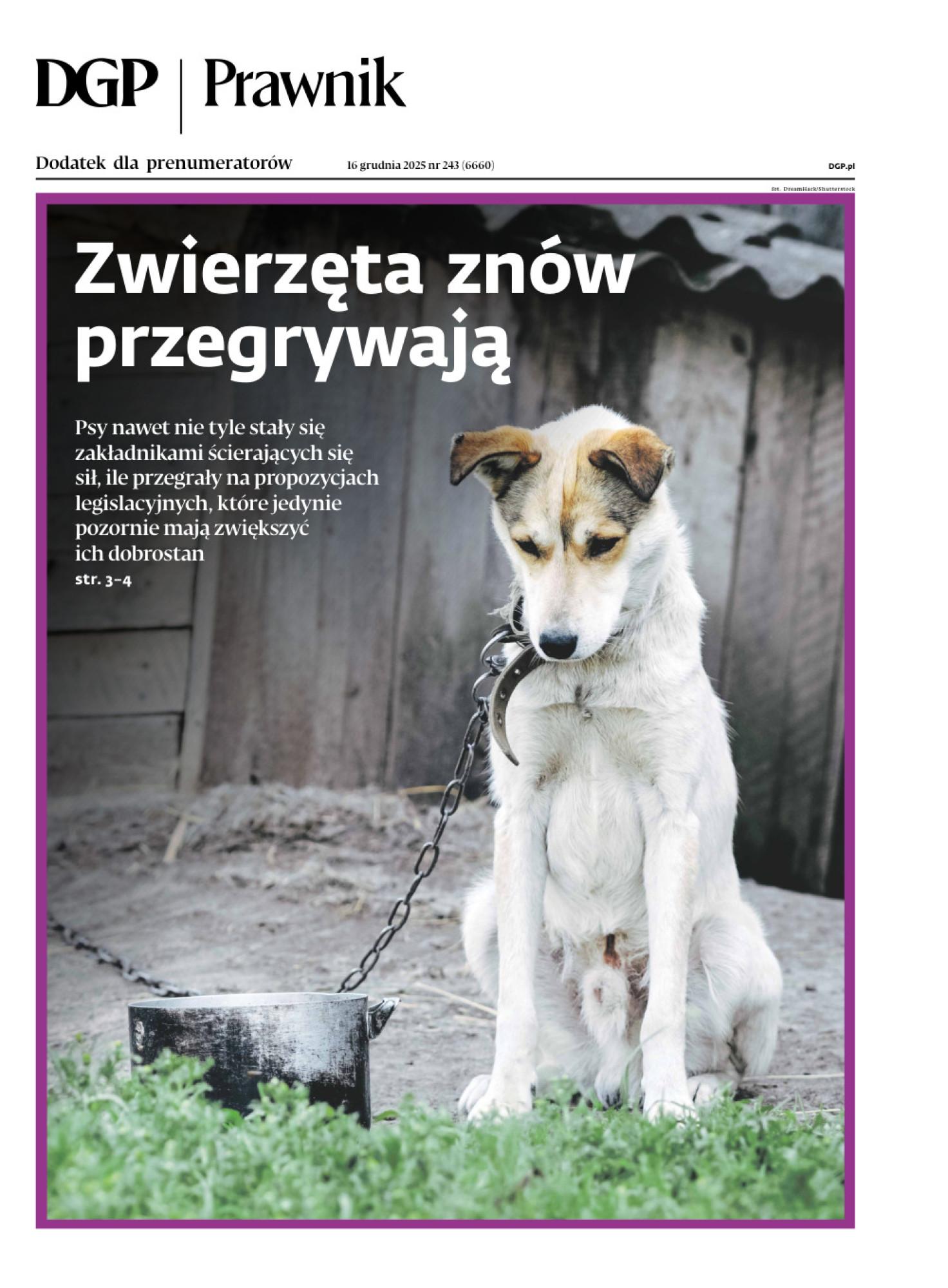 Dziennik Gazeta Prawna