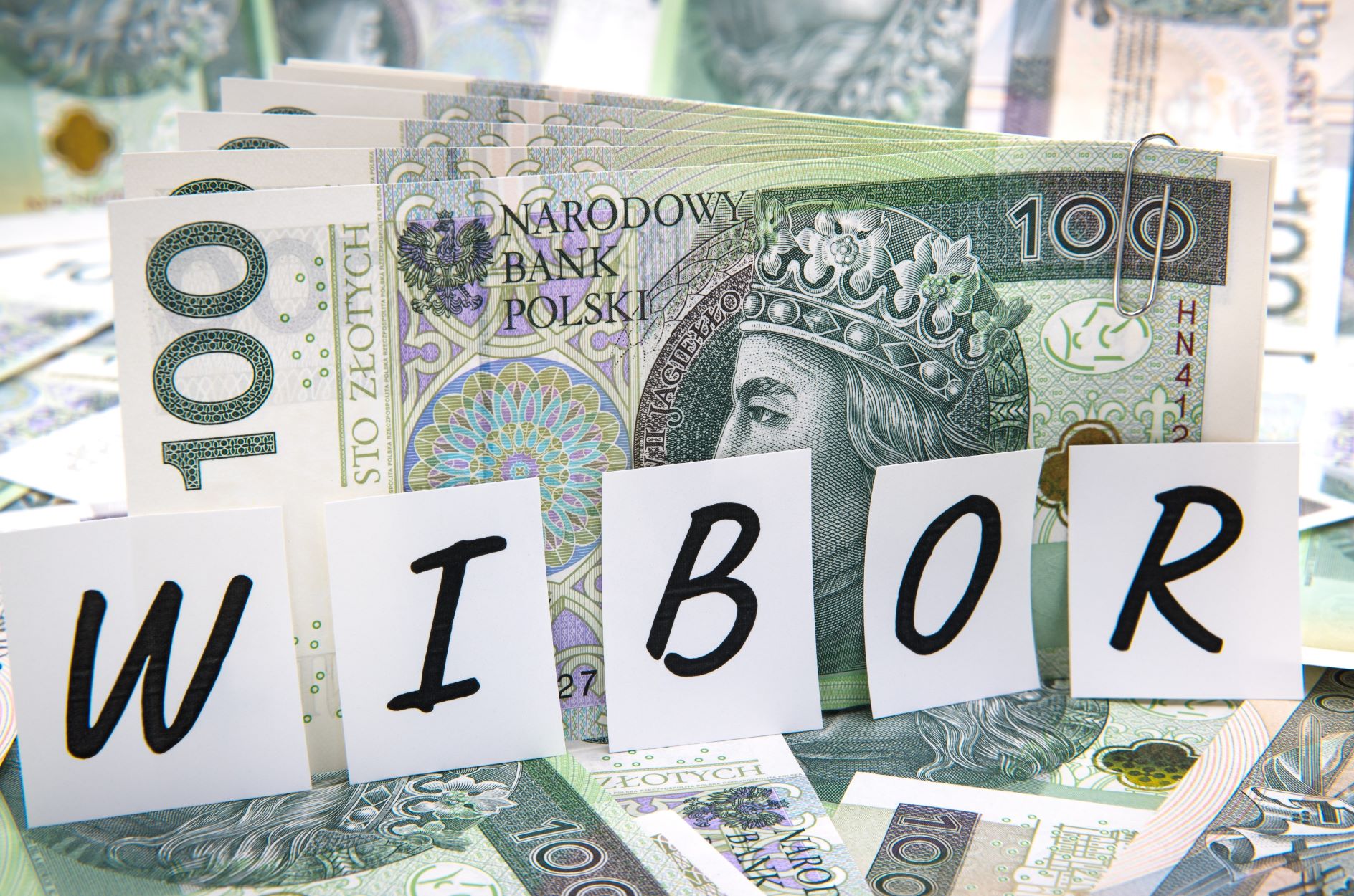 Jak WIBOR wpływa na ratę kredytu? Radca prawny wyjaśnia cały mechanizm i tłumaczy z „bankowego” na nasze