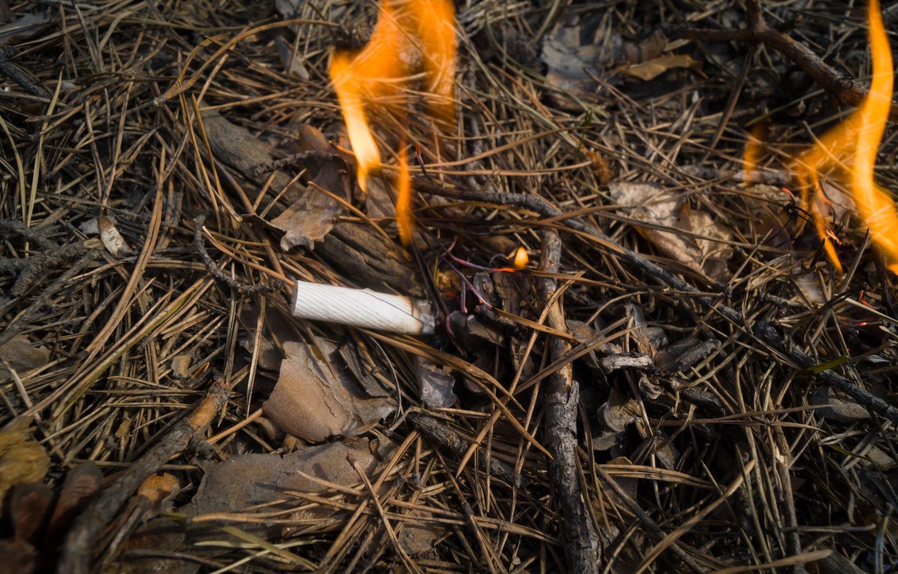 Od 2026 r. do 30 tys. zł grzywny za palenie tytoniu poza wyznaczonymi miejscami, wypalanie traw i inne przypadki stwarzania zagrożenia pożarowego. Zmiany w kodeksie wykroczeń