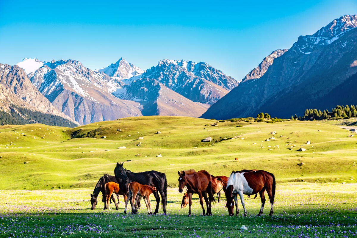 Kirgistan: zmiana zasad pobytu bezwizowego od stycznia 2026 r. także dla Polaków